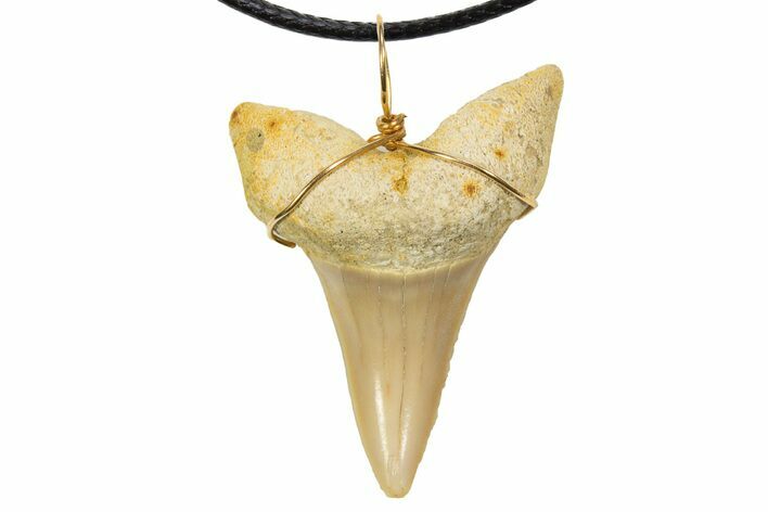 Fossil Mako Shark Tooth Necklace - Bakersfield, California #318846